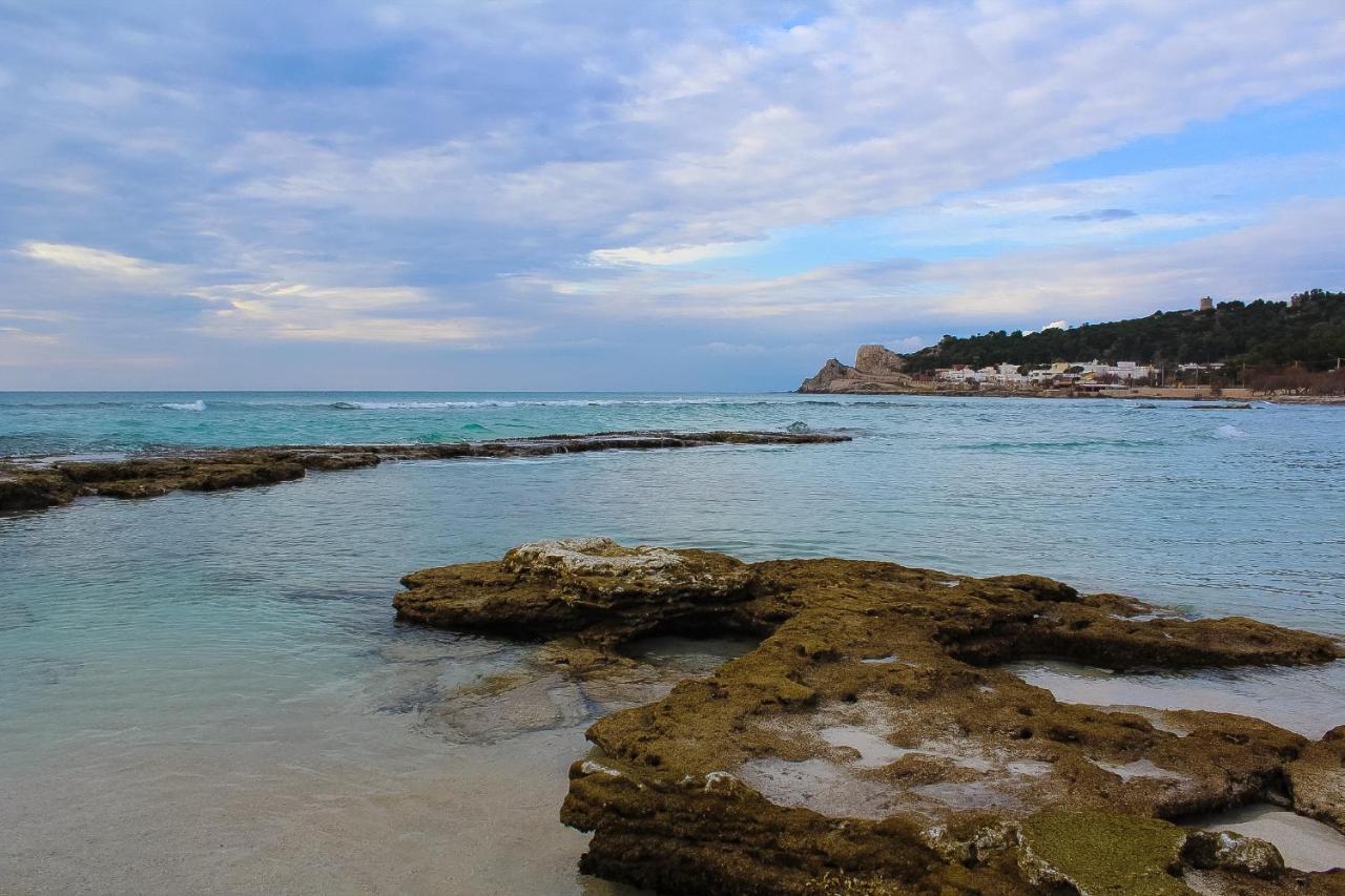 Il Suono Delle Conchiglie - Lido Conchiglie Gallipoli Buitenkant foto